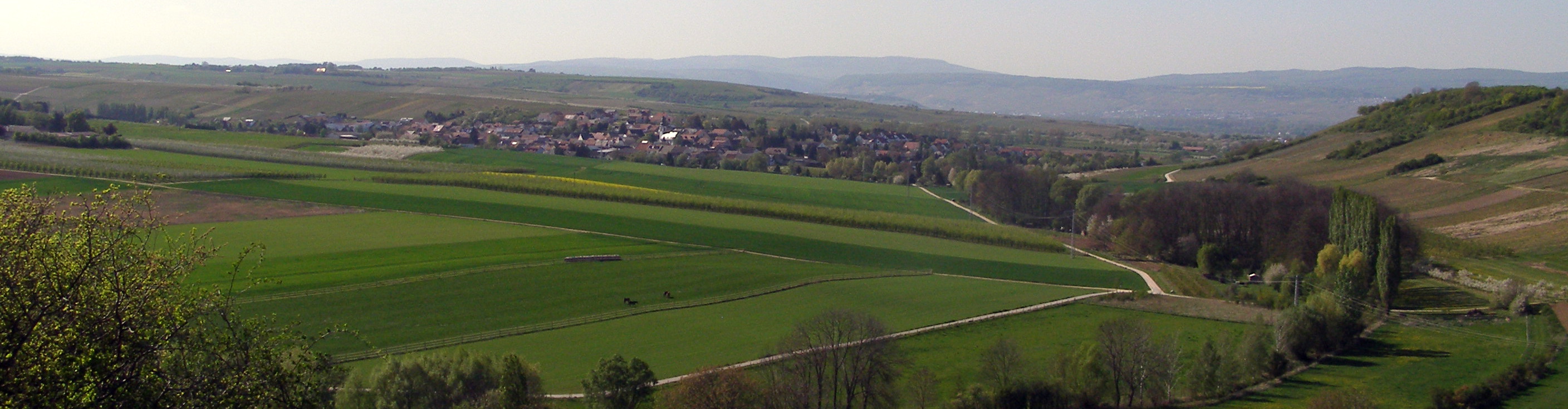Zu sehen ist der Blick ins Welzbach. Im Hintergrund Appenheim.